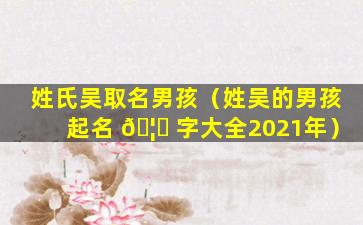 姓氏吴取名男孩（姓吴的男孩起名 🦅 字大全2021年）